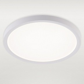 Накладной светильник Natali Kovaltseva PLAIN LED LAMPS 81113/2C в Перми - perm.ok-mebel.com | фото 2
