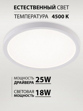 Накладной светильник Natali Kovaltseva PLAIN LED LAMPS 81113/2C в Перми - perm.ok-mebel.com | фото 3