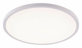 Накладной светильник Natali Kovaltseva PLAIN LED LAMPS 81113/5C в Перми - perm.ok-mebel.com | фото