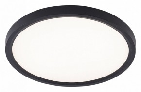 Накладной светильник Natali Kovaltseva PLAIN LED LAMPS 81114/2C в Перми - perm.ok-mebel.com | фото