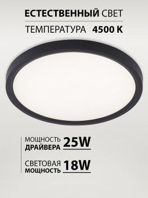 Накладной светильник Natali Kovaltseva PLAIN LED LAMPS 81114/2C в Перми - perm.ok-mebel.com | фото 3