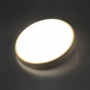 Накладной светильник Sonex Losta 7607/AL в Перми - perm.ok-mebel.com | фото 3