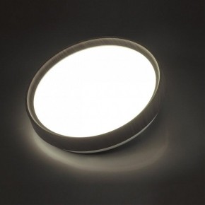Накладной светильник Sonex Woodi 7627/CL в Перми - perm.ok-mebel.com | фото 3