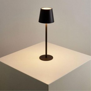 Настольная лампа декоративная Arte Lamp Fuyue A1614LT-1BK в Перми - perm.ok-mebel.com | фото 2