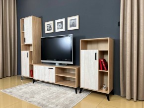 ОСКАР TRIO Гостиная (дуб золотой/сосна белая loft) в Перми - perm.ok-mebel.com | фото 3