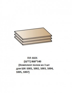 ПЛ-1021 (Комплект полок из 3 шт для ШК-1001, 1002, 1003, 1004, 1005, 1007) в Перми - perm.ok-mebel.com | фото