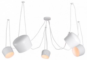 Подвесная люстра Lussole Shirley LSP-8175 в Перми - perm.ok-mebel.com | фото