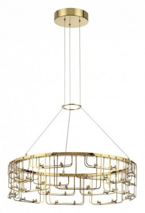 Подвесная люстра Odeon Light ZAHA 7060/44L в Перми - perm.ok-mebel.com | фото 2