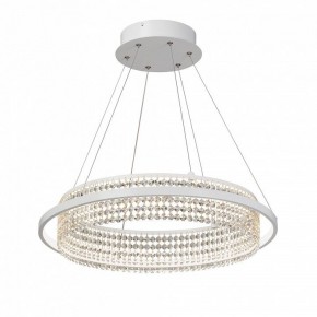 Подвесная люстра Vitaluce V5400 V5400-0/1S в Перми - perm.ok-mebel.com | фото 2