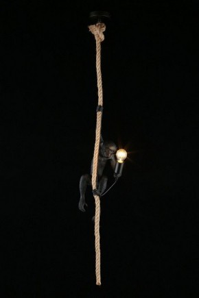 Подвесной светильник Aployt Magali APL.309.16.01 в Перми - perm.ok-mebel.com | фото 3