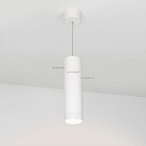 Подвесной светильник Arlight SP-POLO-HANG-LONG300-R85-15W Warm3000 (WH-WH, 40 deg) 027414 в Перми - perm.ok-mebel.com | фото 2