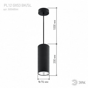 Подвесной светильник Эра  PL12 GX53 BK/SL в Перми - perm.ok-mebel.com | фото 8
