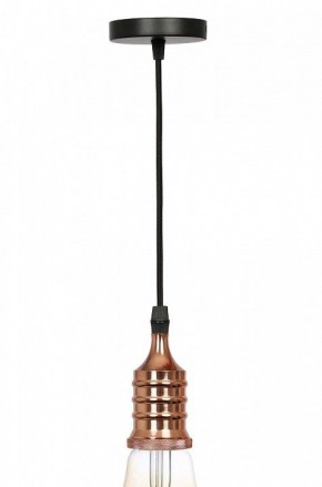Подвесной светильник Эра PL13 Б0048525 в Перми - perm.ok-mebel.com | фото 3