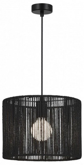 Подвесной светильник EVOLUCE ETTAN SLE6024-403-01 в Перми - perm.ok-mebel.com | фото 2