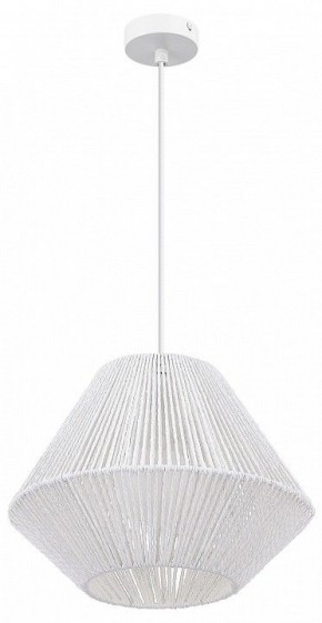 Подвесной светильник EVOLUCE ETTAN SLE6025-503-01 в Перми - perm.ok-mebel.com | фото 3