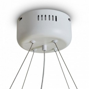 Подвесной светильник Freya Rain FR5546PL-L60W в Перми - perm.ok-mebel.com | фото 9