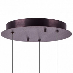 Подвесной светильник Lightstar Caramello 796139 в Перми - perm.ok-mebel.com | фото 13