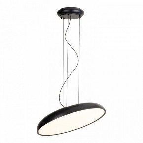 Подвесной светильник Lussole Crook LSP-7360 в Перми - perm.ok-mebel.com | фото 2