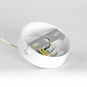 Подвесной светильник Lussole Gregg LSP-8963 в Перми - perm.ok-mebel.com | фото 7