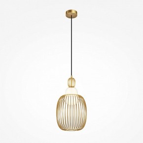 Подвесной светильник Maytoni Levitation MOD376PL-01G1 в Перми - perm.ok-mebel.com | фото 2