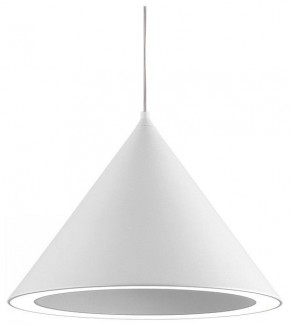 Подвесной светильник Natali Kovaltseva  LED LAMPS 81415 в Перми - perm.ok-mebel.com | фото
