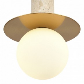 Подвесной светильник ST-Luce Earthy SL1194.303.01 в Перми - perm.ok-mebel.com | фото 5