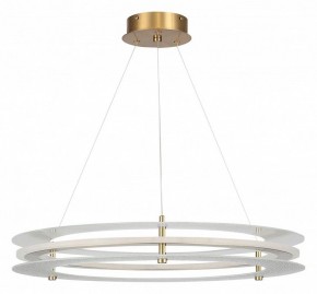 Подвесной светильник ST-Luce FAGY SL6245.203.01 в Перми - perm.ok-mebel.com | фото 3