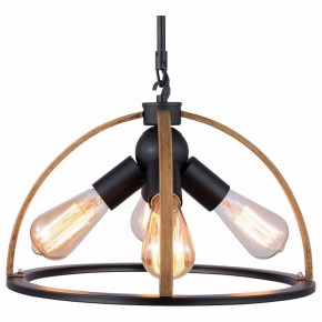 Подвесной светильник TopLight Jasmin TL1179H-04BK в Перми - perm.ok-mebel.com | фото