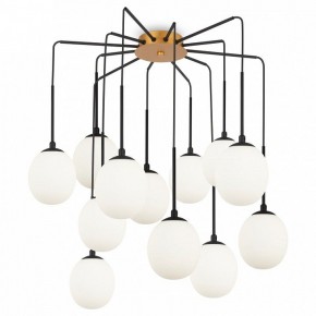 Потолочная люстра Maytoni Branch MOD176PL-12G в Перми - perm.ok-mebel.com | фото 3