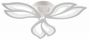 Потолочная люстра Natali Kovaltseva FORTUNA LED LAMPS 81107/2C в Перми - perm.ok-mebel.com | фото