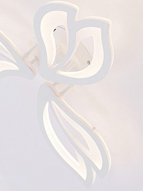 Потолочная люстра Natali Kovaltseva FORTUNA LED LAMPS 81107/2C в Перми - perm.ok-mebel.com | фото 11