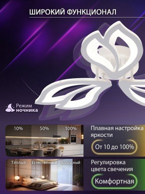 Потолочная люстра Natali Kovaltseva FORTUNA LED LAMPS 81107/2C в Перми - perm.ok-mebel.com | фото 5