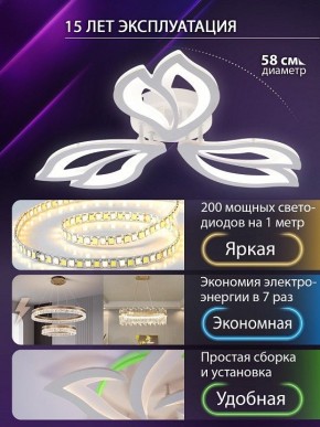 Потолочная люстра Natali Kovaltseva FORTUNA LED LAMPS 81107/2C в Перми - perm.ok-mebel.com | фото 6