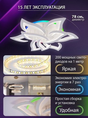 Потолочная люстра Natali Kovaltseva OLIMP LED LAMPS 81435 в Перми - perm.ok-mebel.com | фото 5