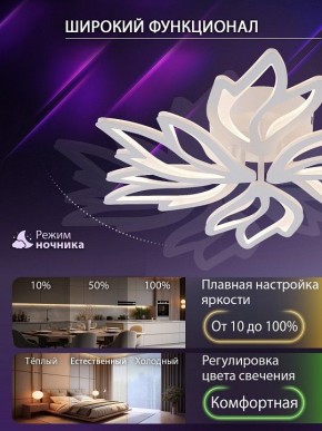 Потолочная люстра Natali Kovaltseva RIF LED LAMPS 81118/5C в Перми - perm.ok-mebel.com | фото 6