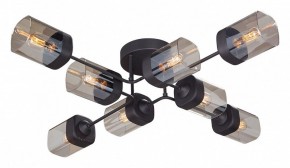 Потолочная люстра Vitaluce 4889 V4889-1/8PL в Перми - perm.ok-mebel.com | фото