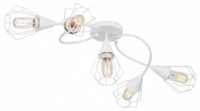 Потолочная люстра Vitaluce V3037 V3037-0/5PL в Перми - perm.ok-mebel.com | фото