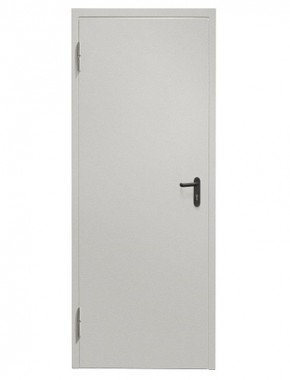 Противопожарная дверь Промет ДП 1 EIS-60 (Одностворчатая) Cветло-серый в Перми - perm.ok-mebel.com | фото 1