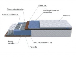 PROxSON Матрас Active Duo M/F (Ткань Трикотаж Эко) 120x200 в Перми - perm.ok-mebel.com | фото 7