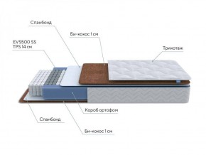 PROxSON Матрас Active F Roll (Ткань Трикотаж Эко) 120x200 в Перми - perm.ok-mebel.com | фото 6