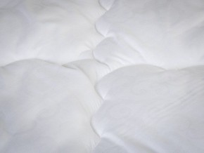 PROxSON Одеяло классическое PROSON (Стеганное полотно) 140x200 в Перми - perm.ok-mebel.com | фото 4