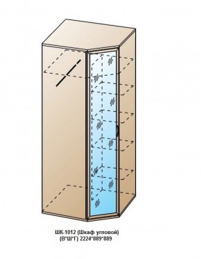 ШК-1012 (Шкаф угловой) в Перми - perm.ok-mebel.com | фото