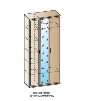 ШК-1031 (Шкаф) в Перми - perm.ok-mebel.com | фото