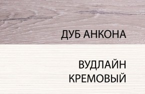 Шкаф 1DZ, OLIVIA, цвет вудлайн крем/дуб анкона в Перми - perm.ok-mebel.com | фото 3