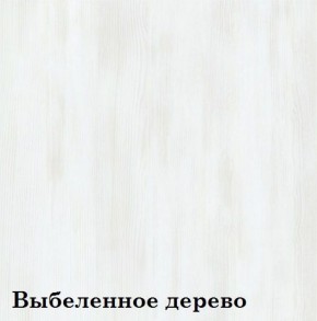 Шкаф 2-х секционный ЛЮКС 2 (фасад ЛДСП) ЛДСП Стандарт в Перми - perm.ok-mebel.com | фото 12