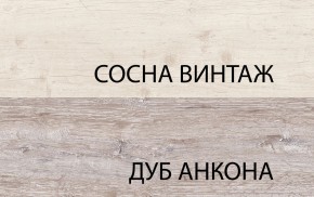 Шкаф 2D1SL, MONAKO, цвет Сосна винтаж/дуб анкона в Перми - perm.ok-mebel.com | фото 1