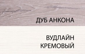 Шкаф 2DG, OLIVIA, цвет вудлайн крем/дуб анкона в Перми - perm.ok-mebel.com | фото 3