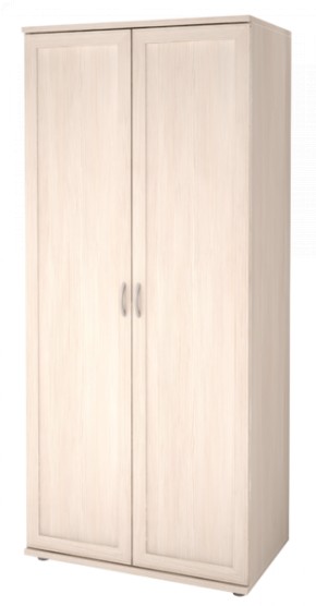 Шкаф для одежды 2-х дверный Ника-Люкс 21 в Перми - perm.ok-mebel.com | фото