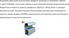 Шкаф-купе 1300 серии SILVER S5+S5+B2+PL3 (2 ящика+2 штанги) профиль «Серебро» в Перми - perm.ok-mebel.com | фото 4