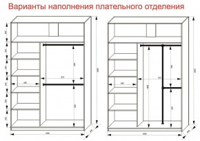 Шкаф-купе 1600 серии SOFT D6+D4+B2+PL2 (2 ящика+1штанга+1 полка) профиль «Капучино» в Перми - perm.ok-mebel.com | фото 9